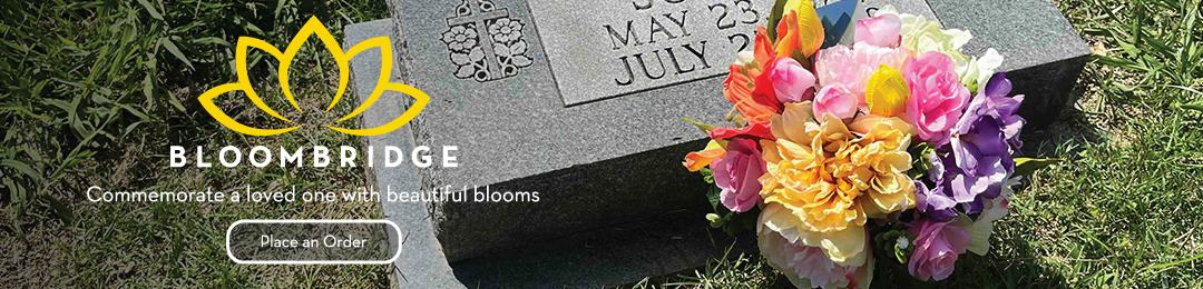 bb-web-banner-spike bb-web-banner-spike